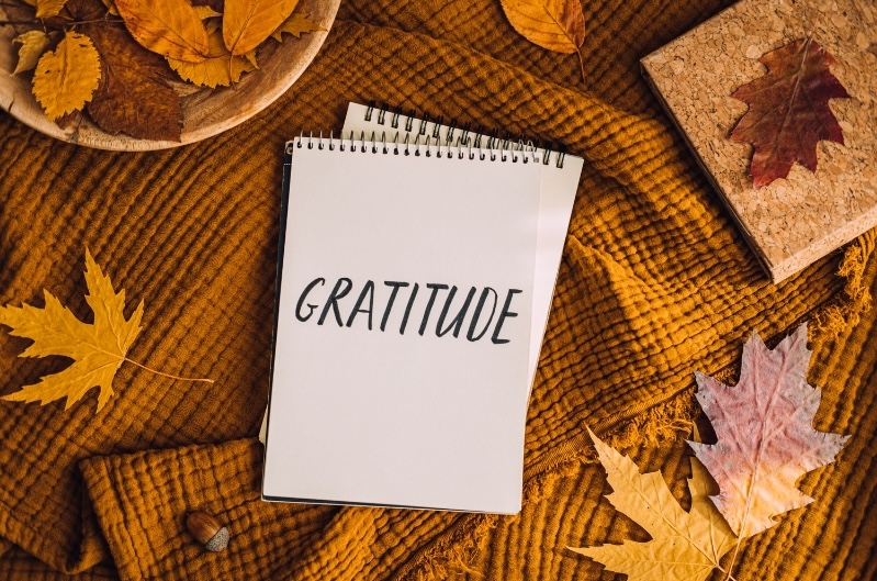 What I’m Most Grateful for This Year